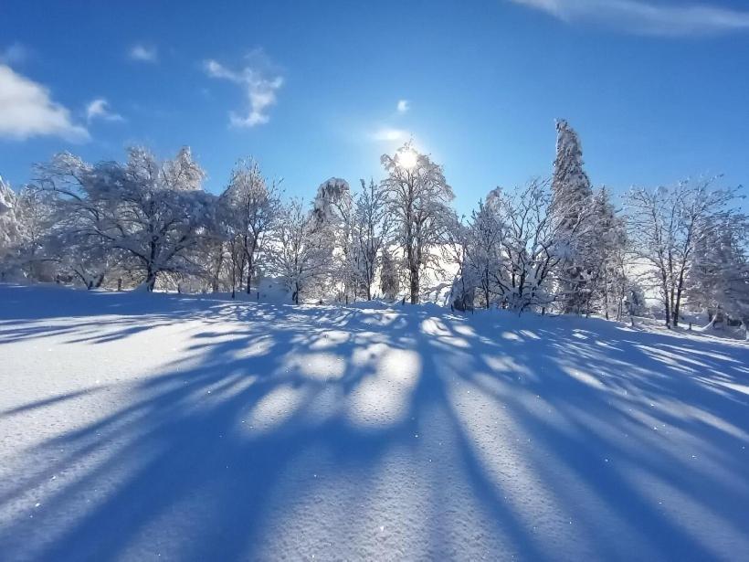 Gite De Pailherols Zewnętrze zdjęcie